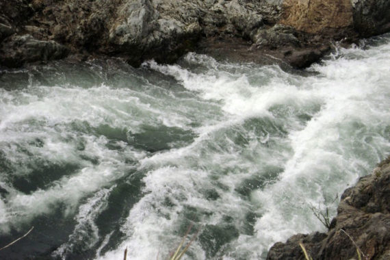 Five Nonprofit Finance Must-Do’s in the Time of COVID-19